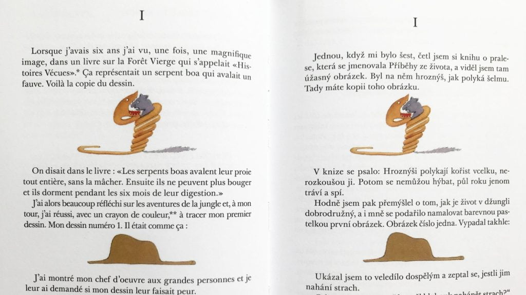 Ukážka z francúzsko-slovenskej dvojjazyčnej knihy Malý princ